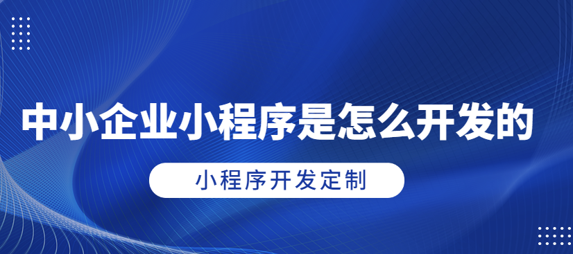 指尖上的商機！武榮CMS企業(yè)小程序開發(fā)，讓您的業(yè)務騰飛！