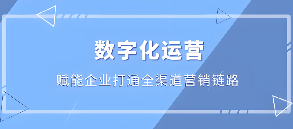 武榮網絡：塑造企業(yè)數字形象，提升網絡營銷效益