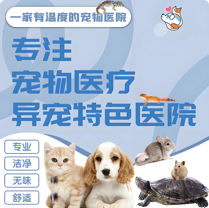 巧用美團(tuán)/大眾點(diǎn)評“問大家”，讓寵主放心選擇你的醫(yī)院