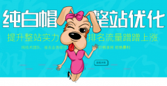 純白帽整站優(yōu)化，提升整站實(shí)力，價(jià)格親民效果好